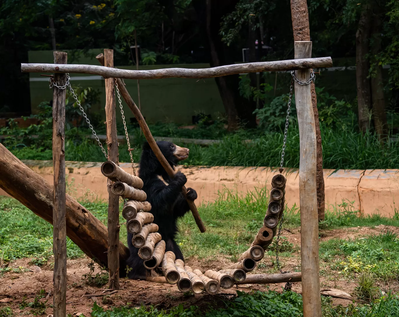 Photo of Sri Chamarajendra Zoological Gardens By Mrphenomenal Diaries