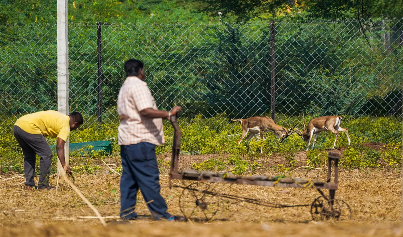 Photo of Karimnagar Deer Park By Mrphenomenal Diaries