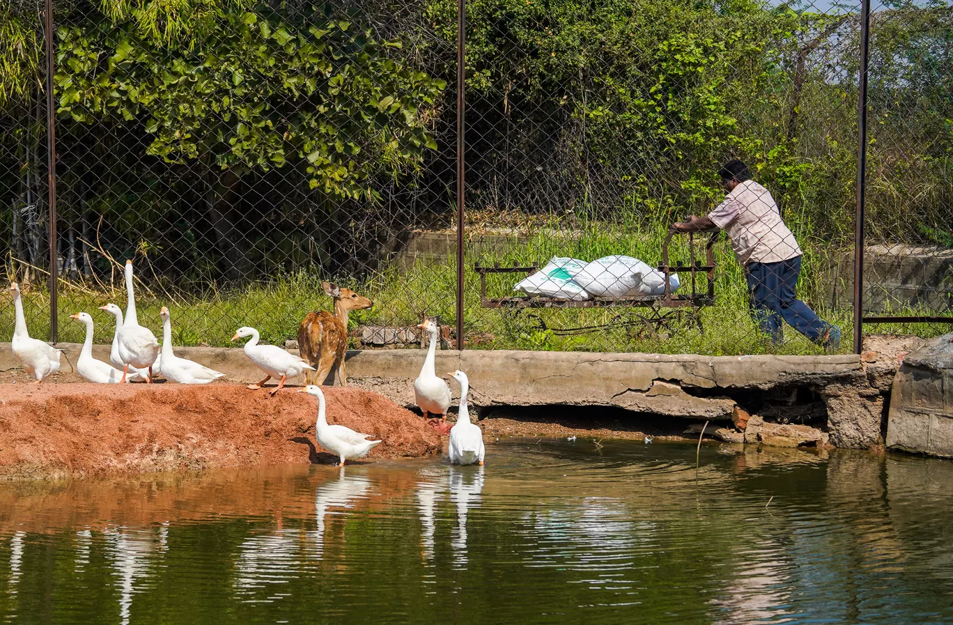 Photo of Karimnagar Deer Park By Mrphenomenal Diaries