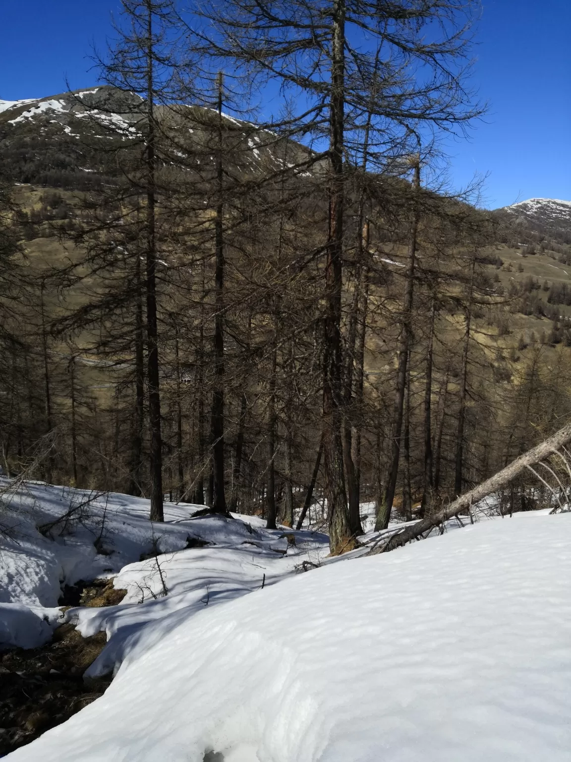 Photo of Sestriere By Maria Charlotte Lindemann
