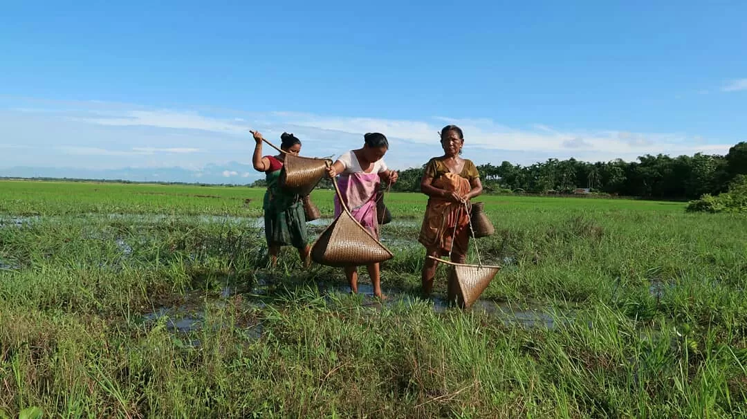 Photo of Kokrajhar By Alfred Basumatary