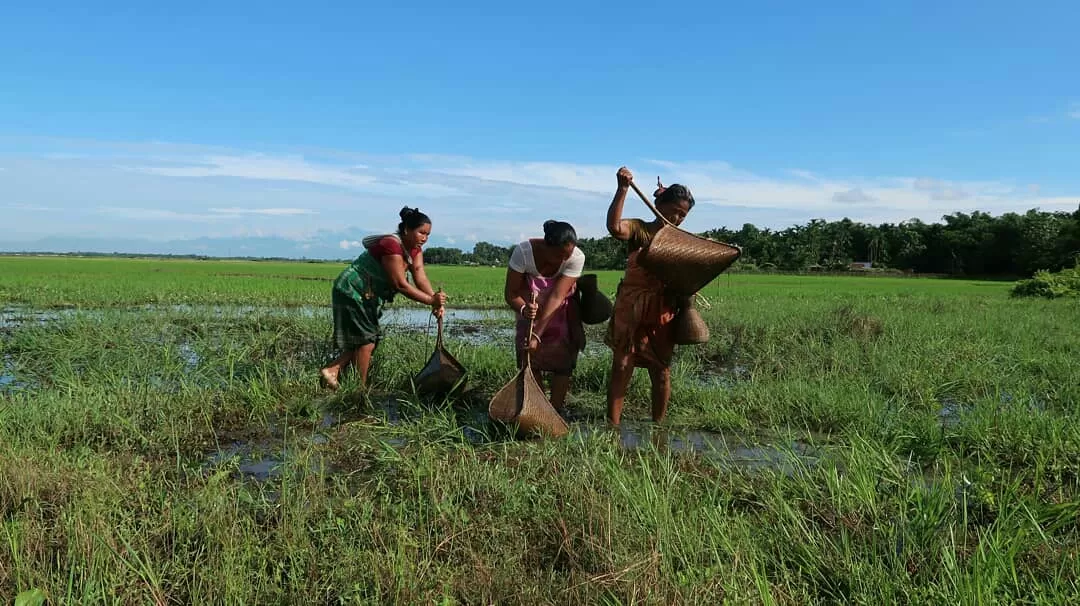 Photo of Kokrajhar By Alfred Basumatary