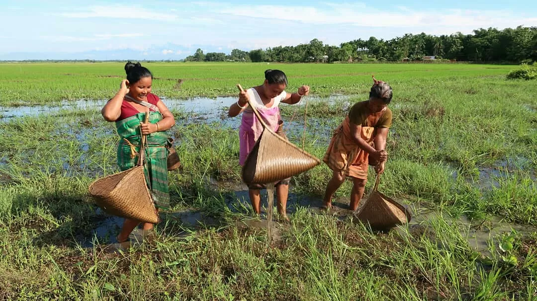 Photo of Kokrajhar By Alfred Basumatary