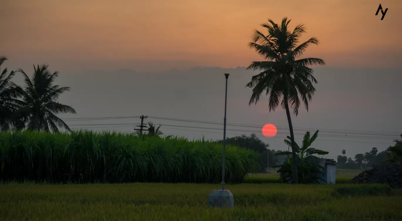 Photo of Dharapuram By Yasser Arafath
