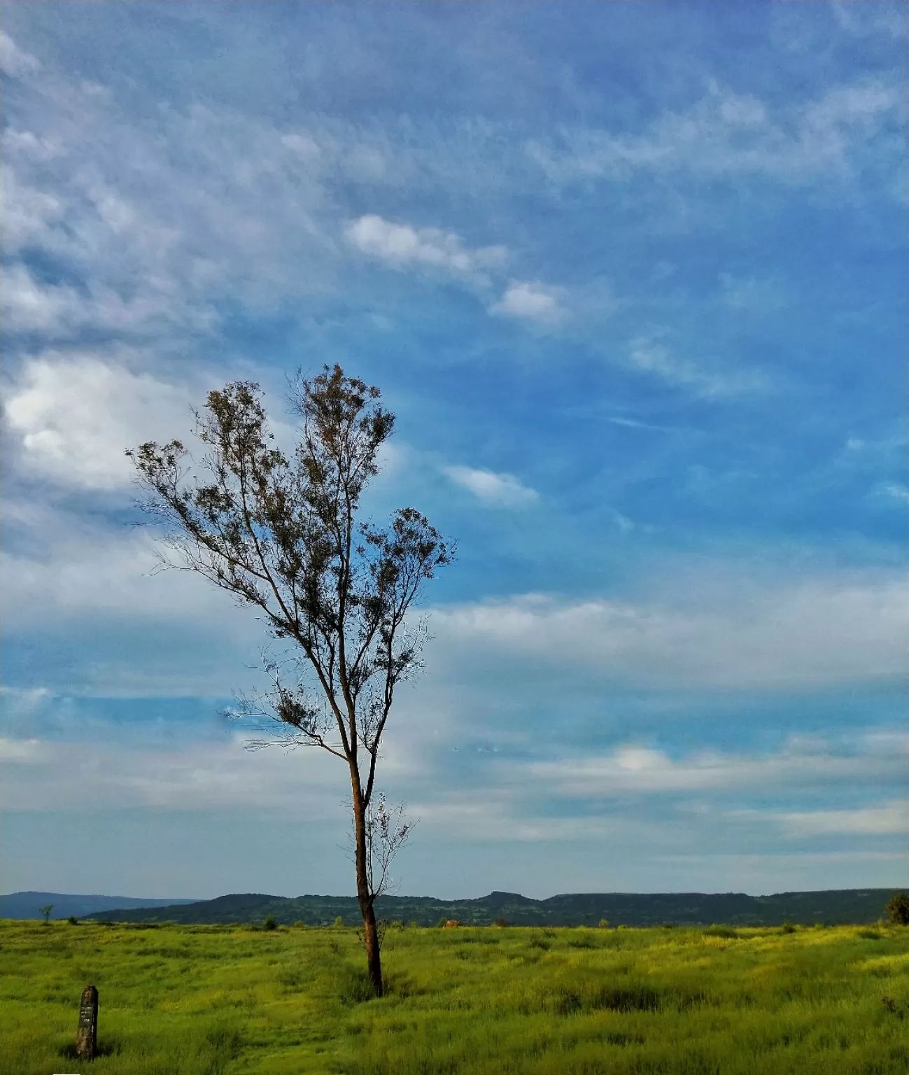 Photo of Kas Pathar By Dipesh Singh