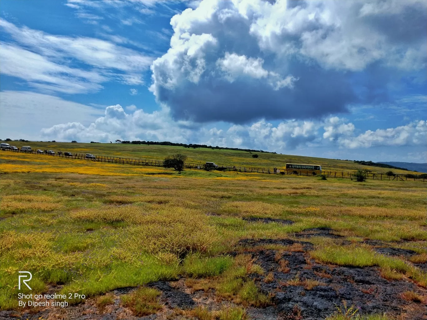 Photo of Kas Pathar By Dipesh Singh