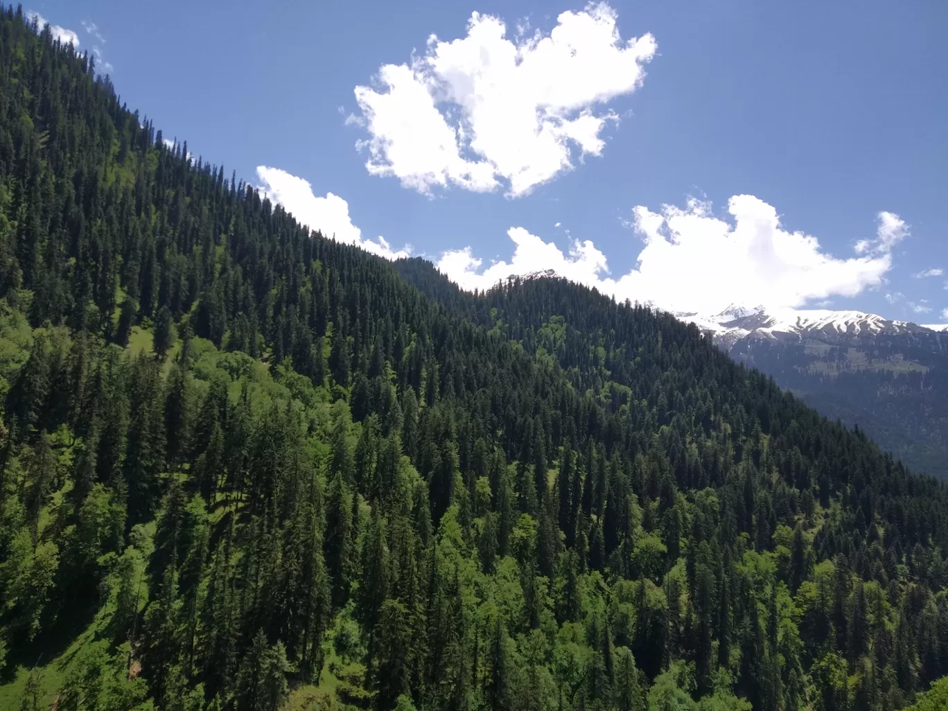 Photo of Kheer Ganga Trek By PRITINDRA SAHOO