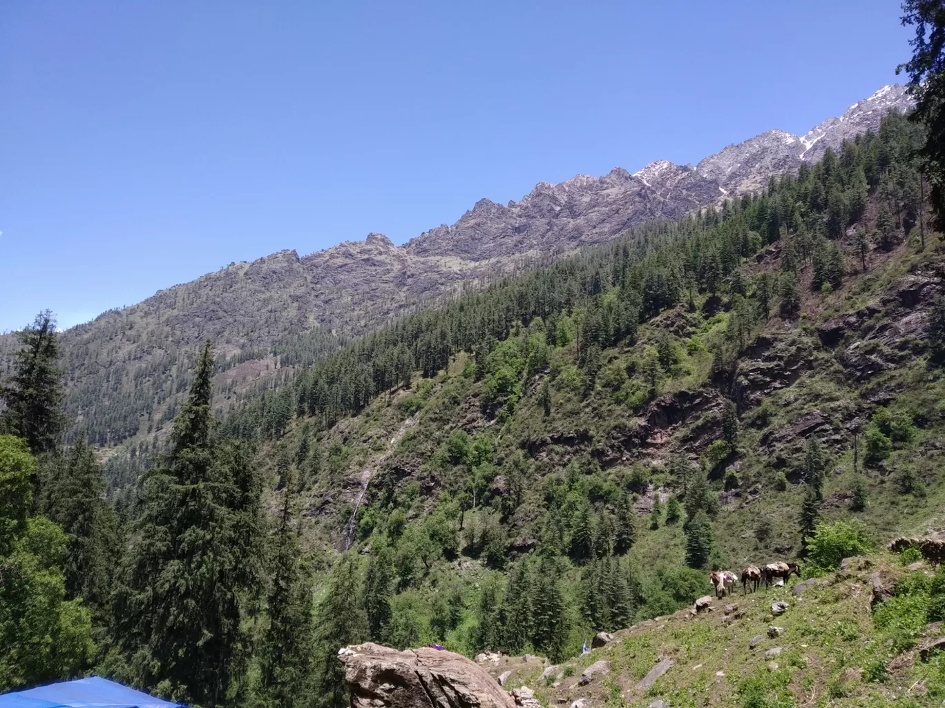 Photo of Kheer Ganga Trek By PRITINDRA SAHOO