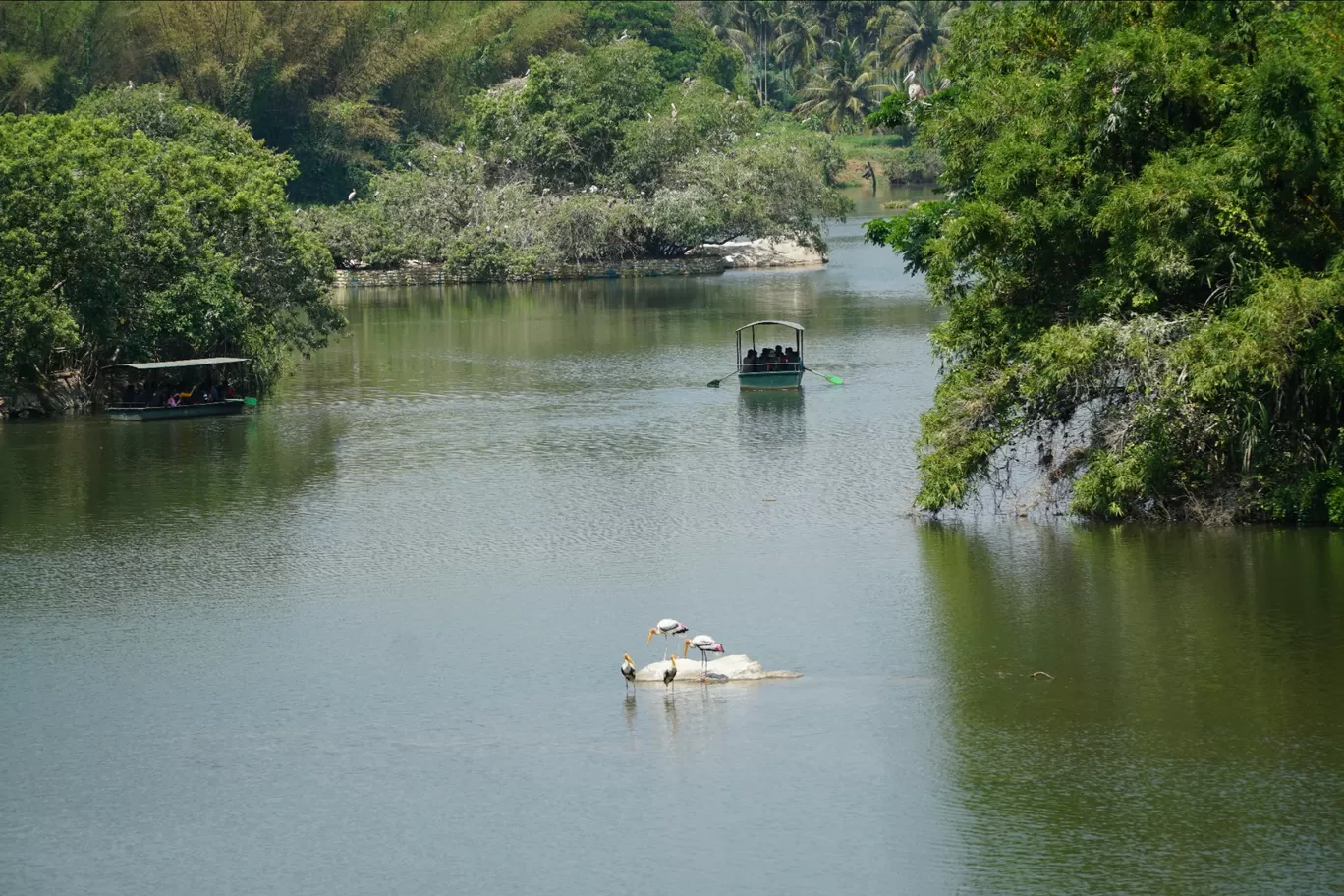 Photo of Ranganathittu Bird Sanctuary By Keshav 