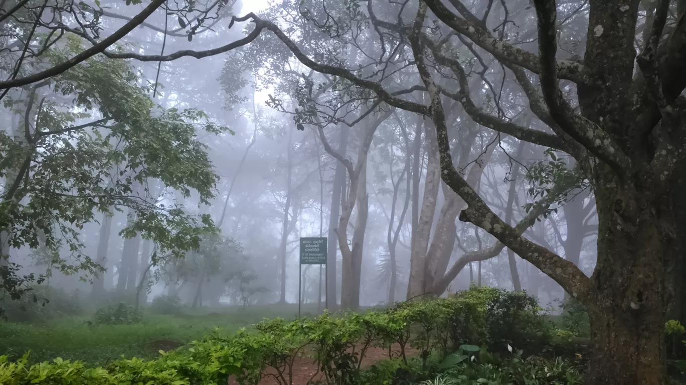Photo of Nandi Hills By Keshav 