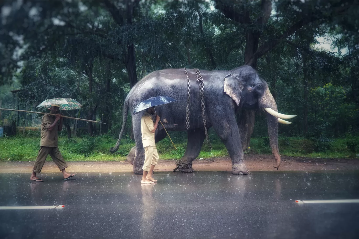 Photo of Shimoga By Keshav 