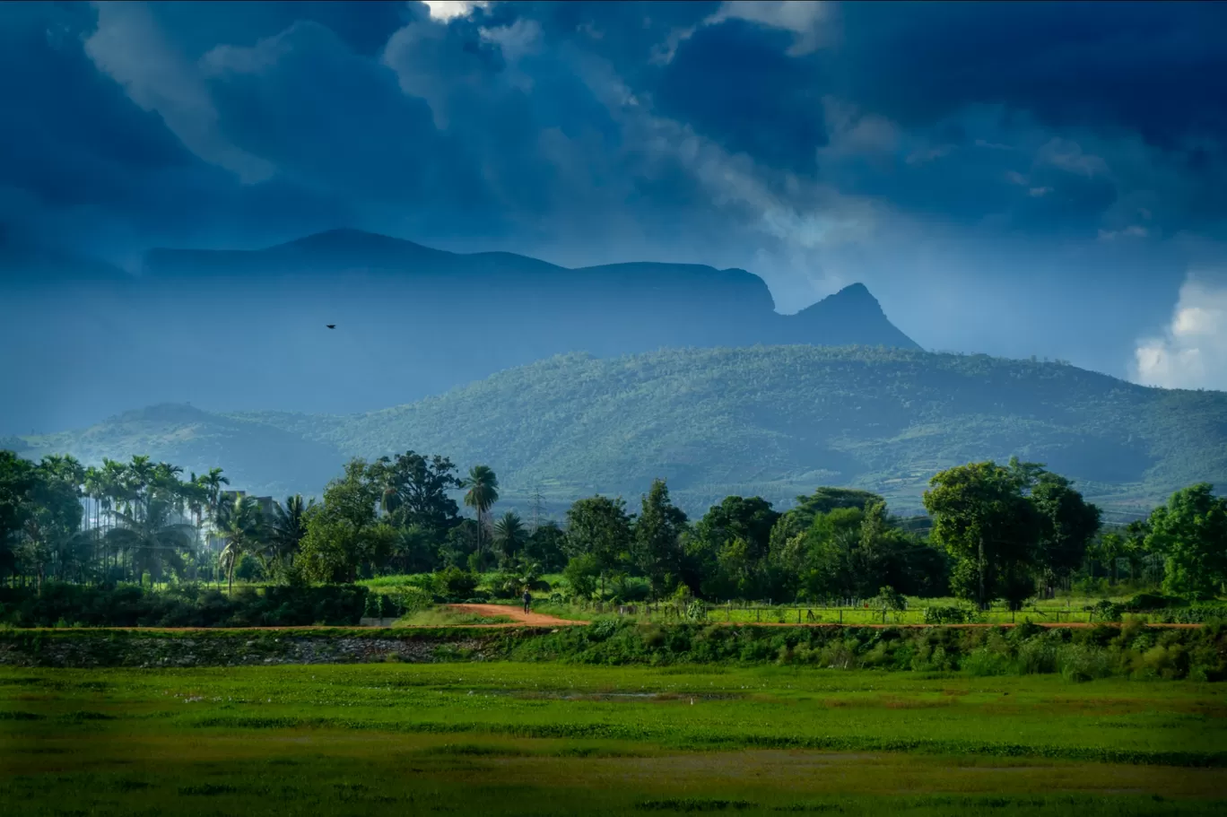 Photo of Chikkamagaluru By Keshav 