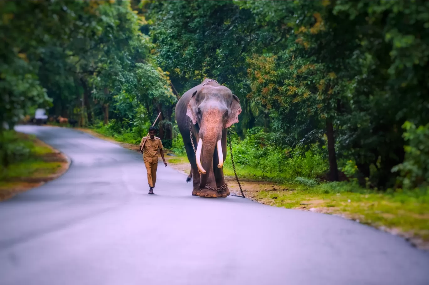 Photo of Shimoga By Keshav 
