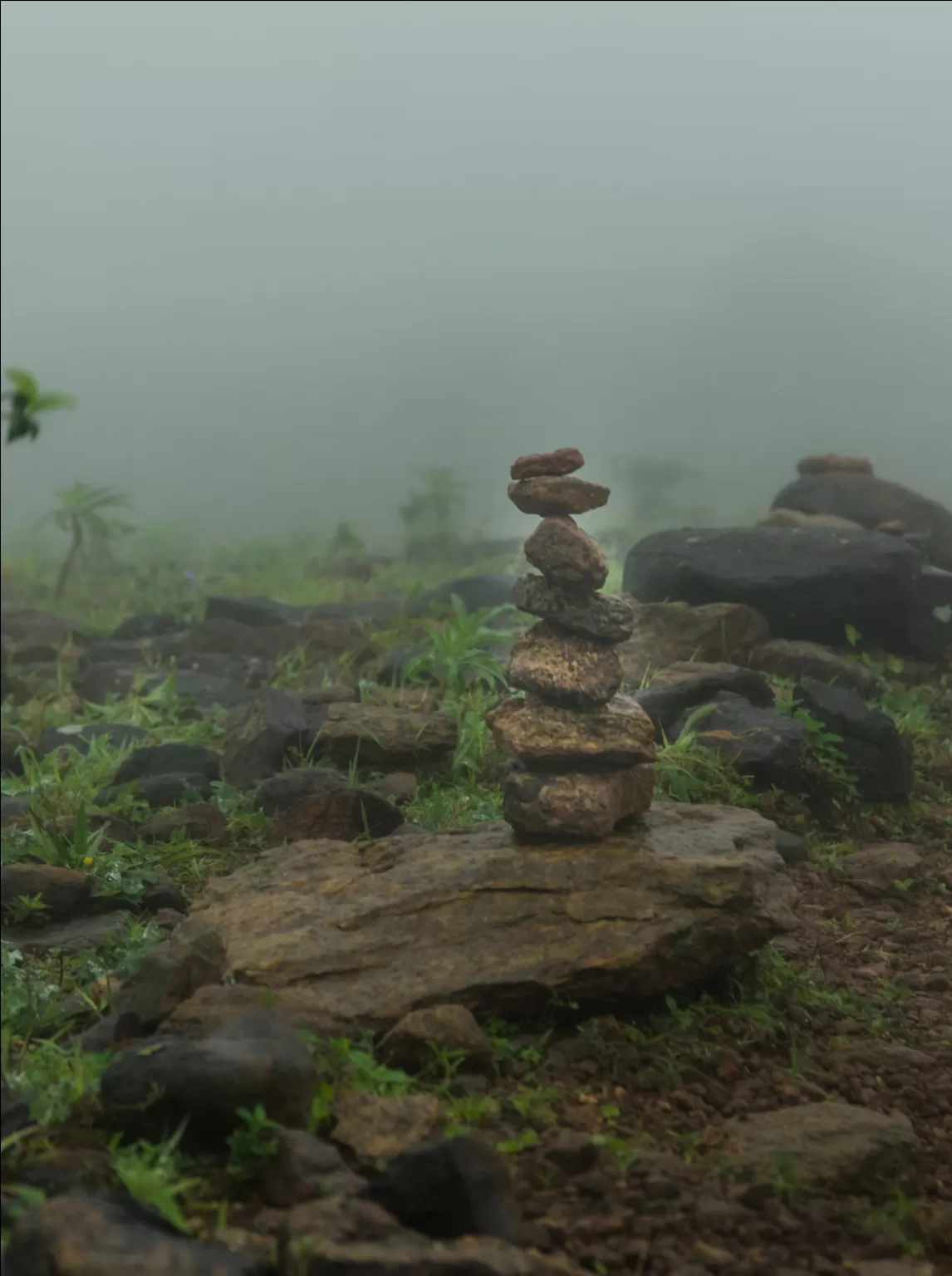 Photo of Mandalpatti Peak By Keshav 