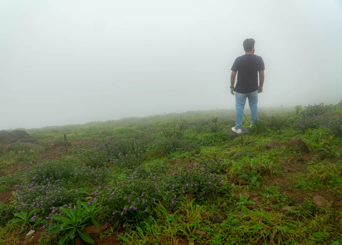 Photo of Mandalpatti Peak By Keshav 