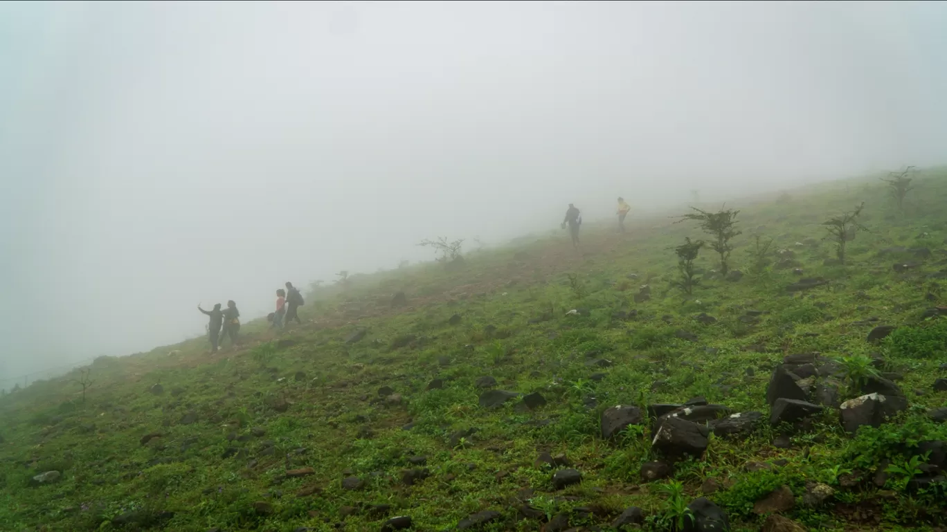 Photo of Mandalpatti Peak By Keshav 