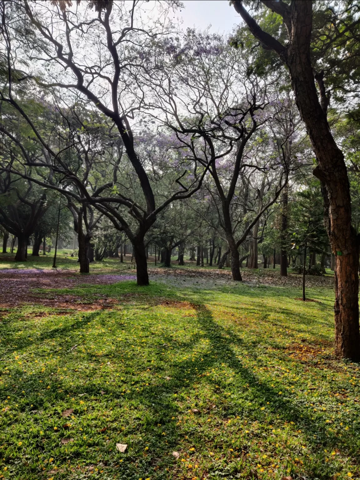 Photo of Namma Bengaluru By Keshav 