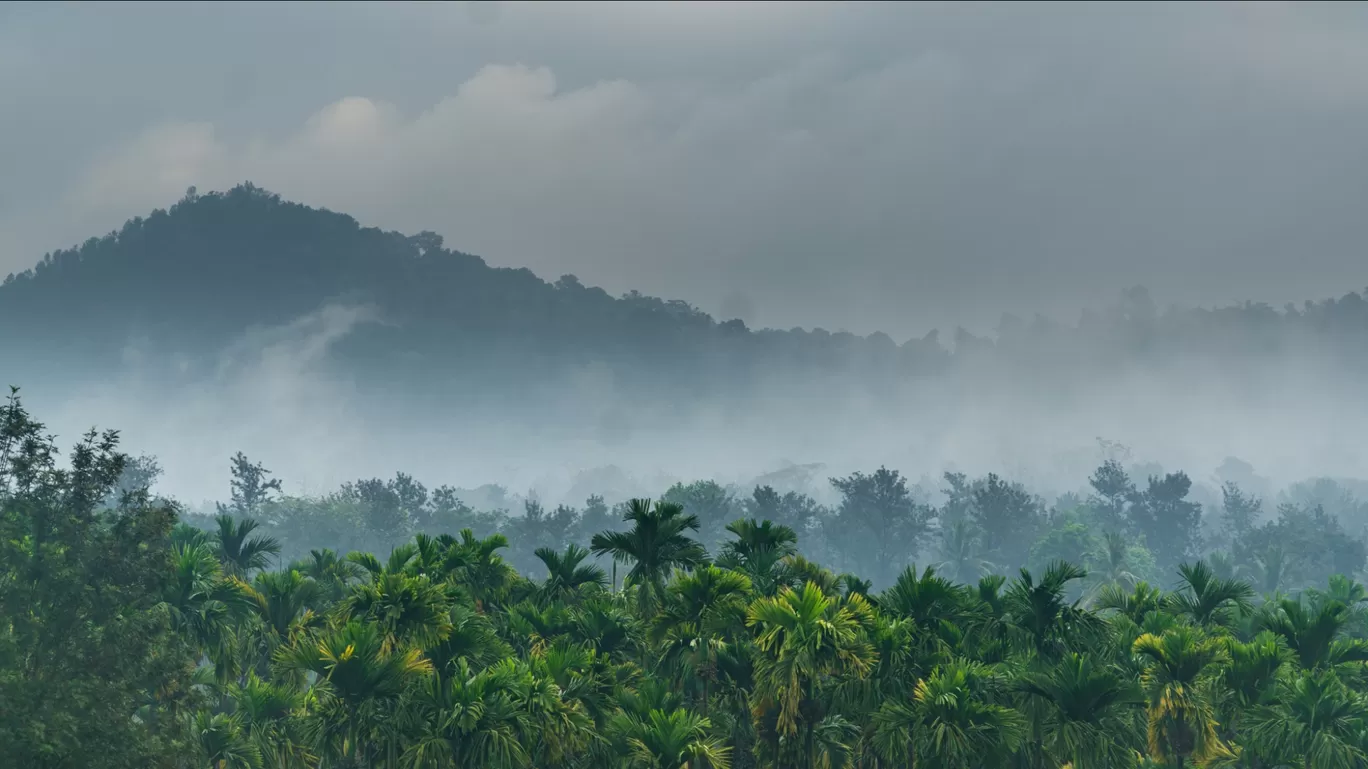 Photo of Sahyadri Mountains By Keshav 