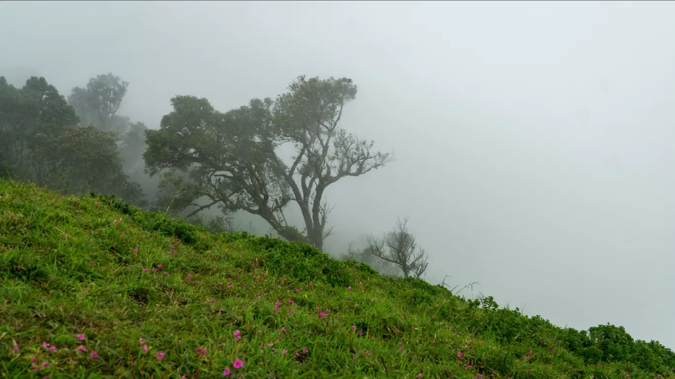 Photo of Sahyadri Mountains By Keshav 