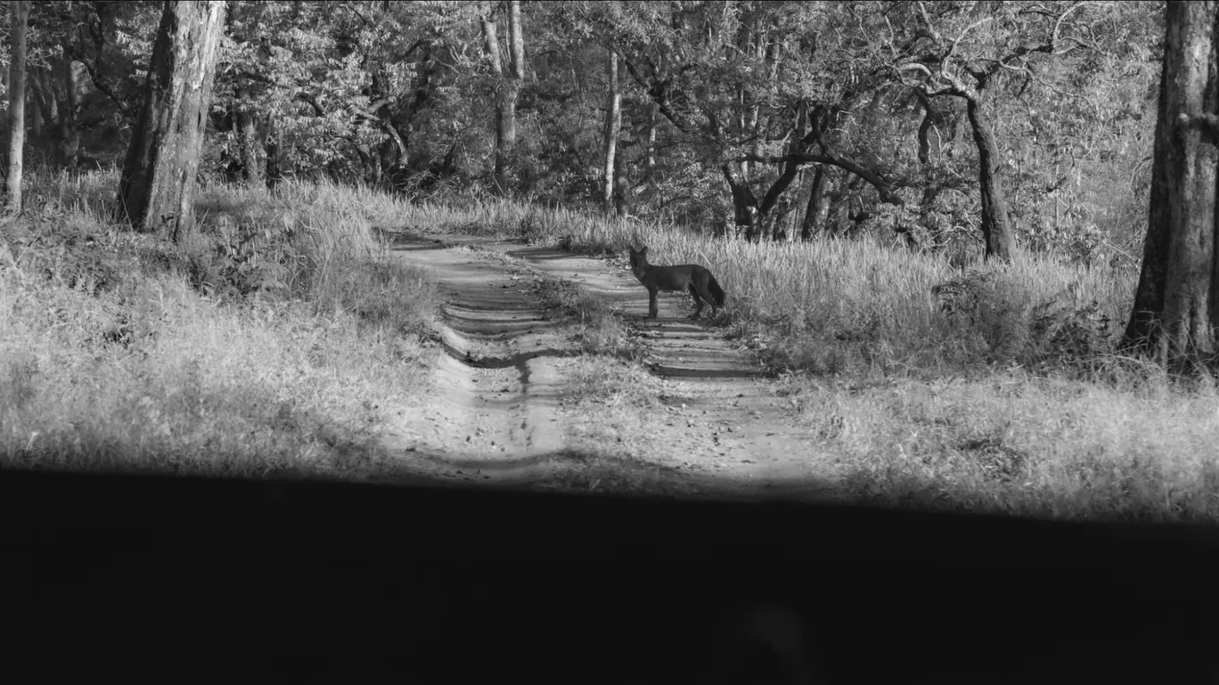 Photo of Nagarhole National Park By Keshav 