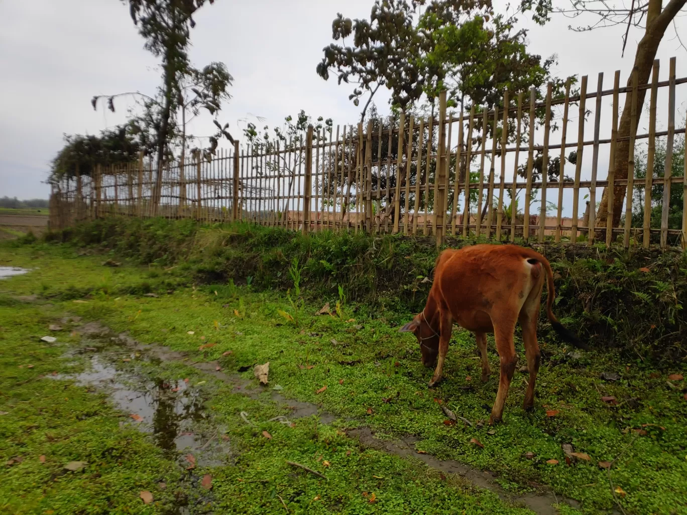 Photo of Jalpaiguri By Sphurti Rawat