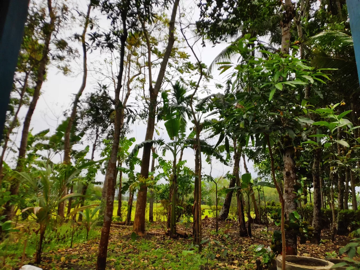 Photo of Jalpaiguri By Sphurti Rawat