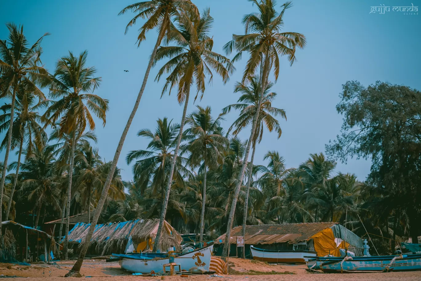 Photo of Goa By Sagar Shiroya