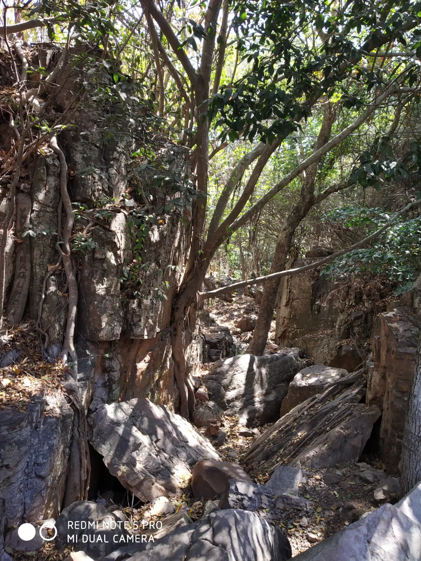 Photo of Srivari Padalu By Anand Kumar