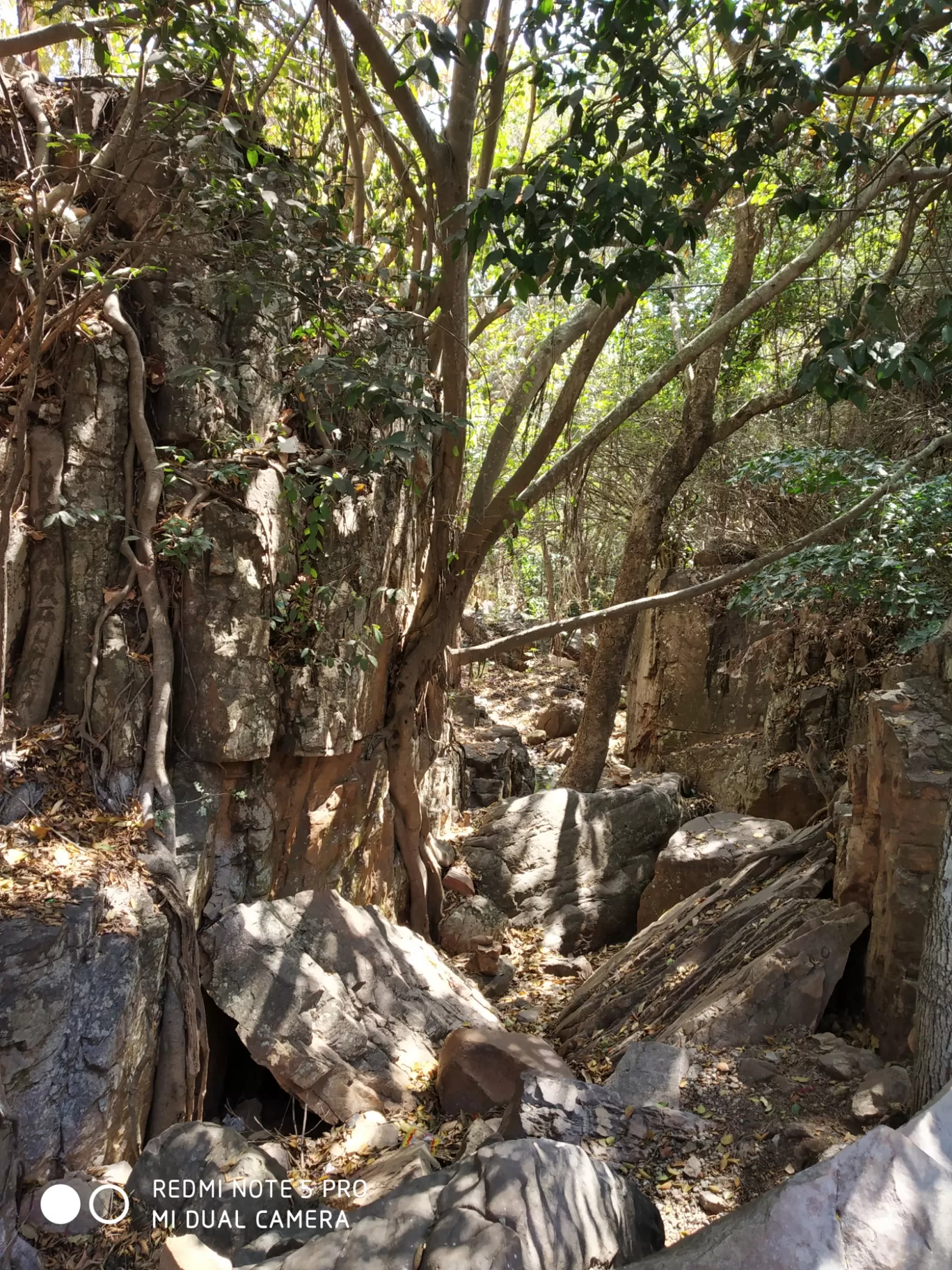 Photo of Srivari Padalu By Anand Kumar