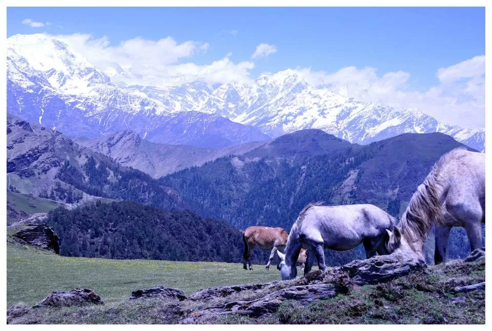 Photo of Roop Kund By letsstartdjourney