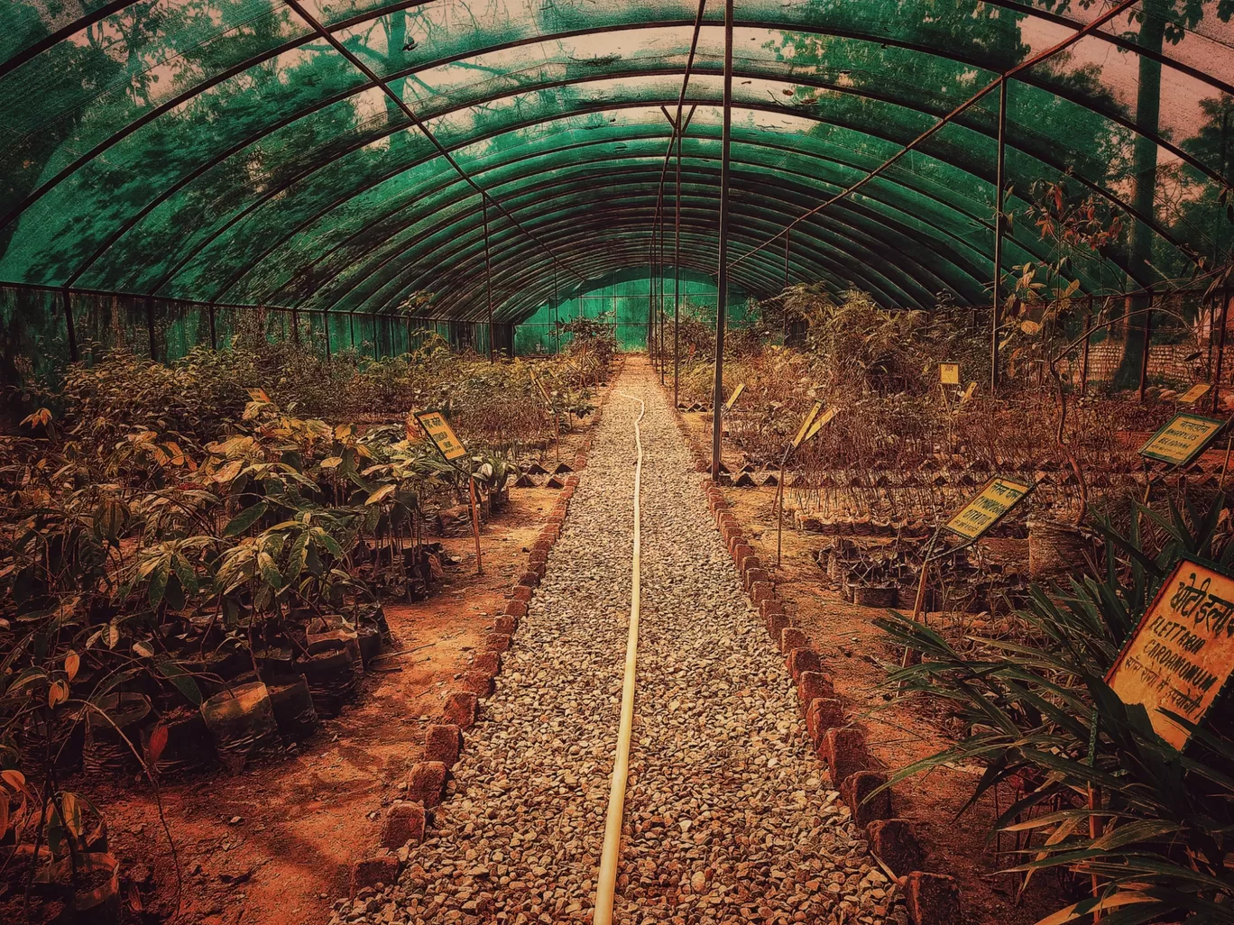 Photo of Ch. Devi Lal Herbal Nature Park By Sahil Kapoor