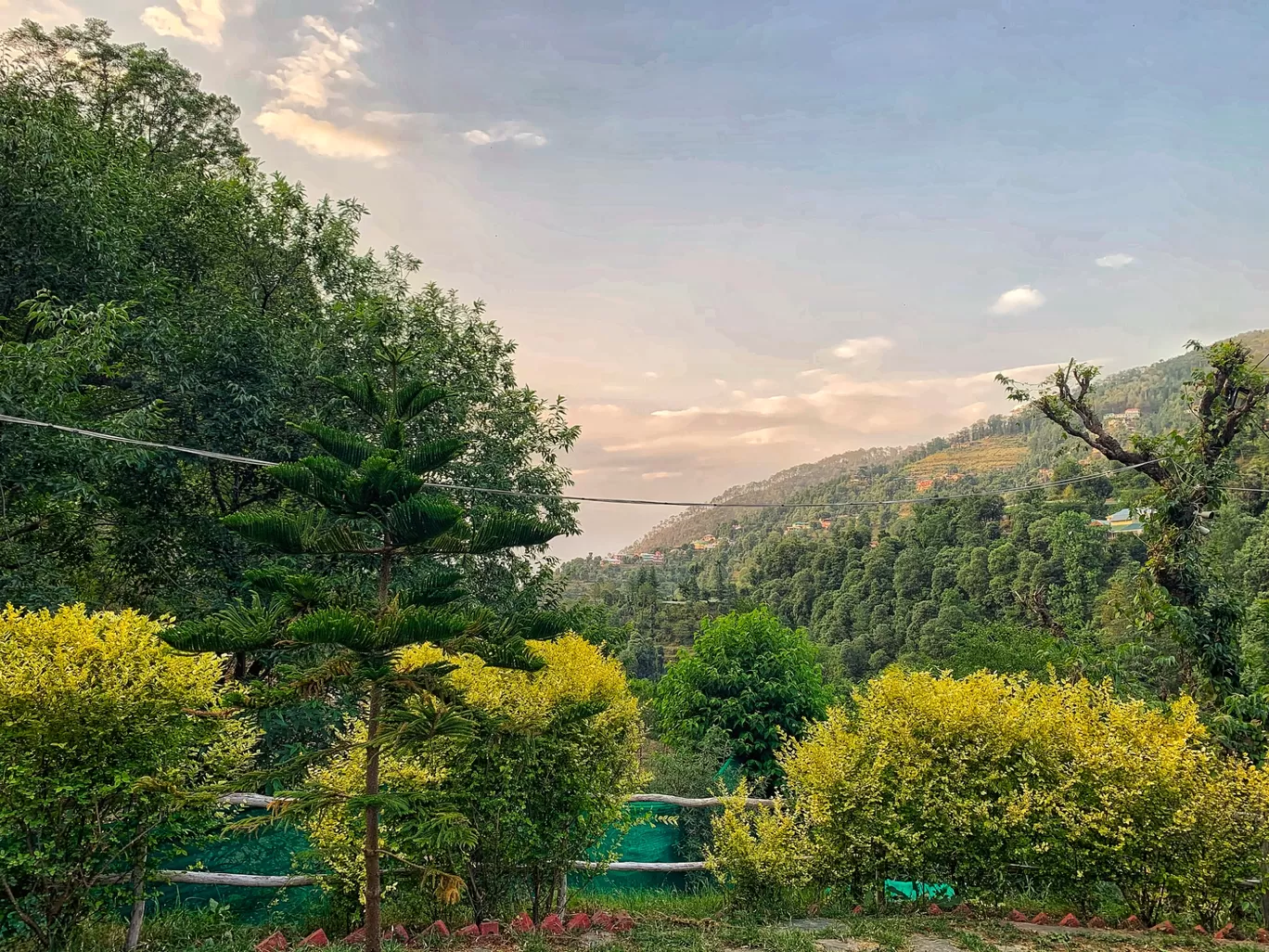 Photo of Totu By Sahil Kapoor