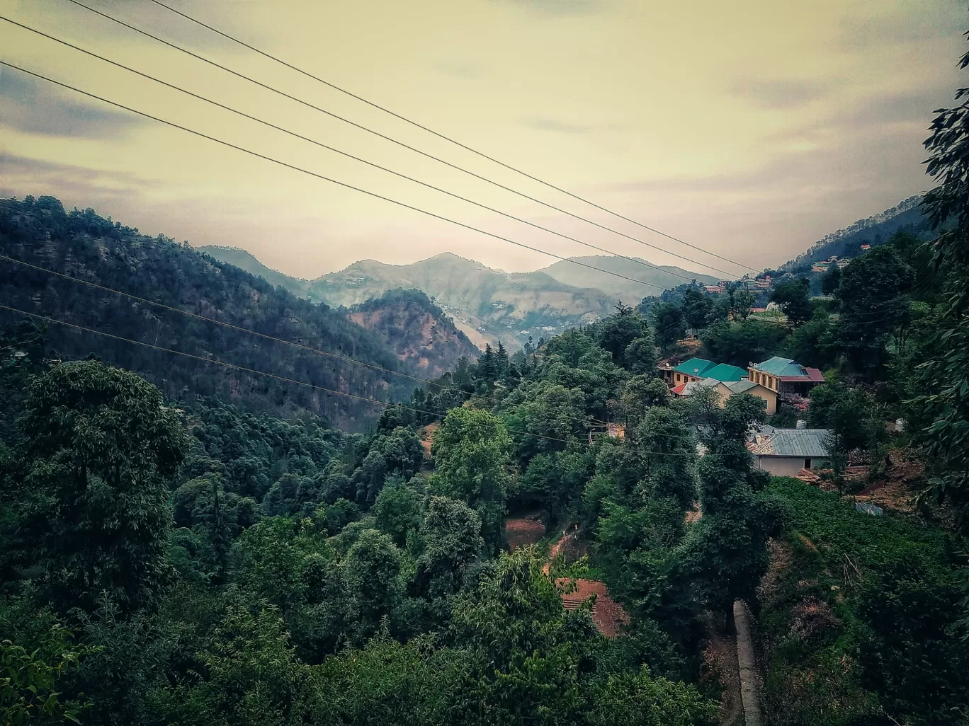 Photo of Totu By Sahil Kapoor