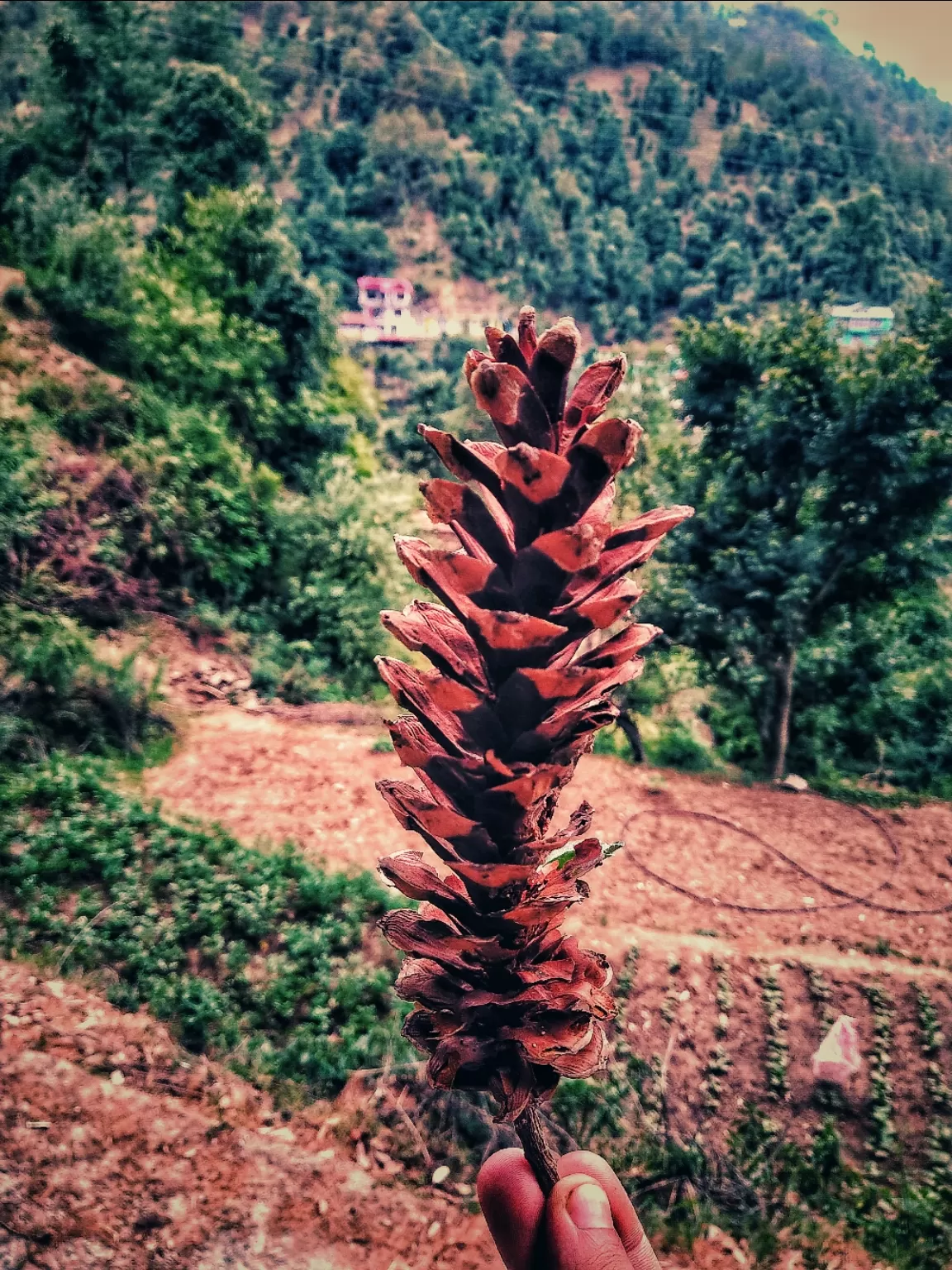 Photo of Totu By Sahil Kapoor
