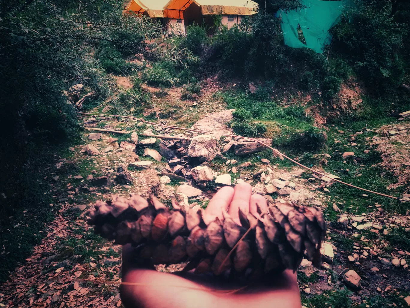 Photo of Totu By Sahil Kapoor
