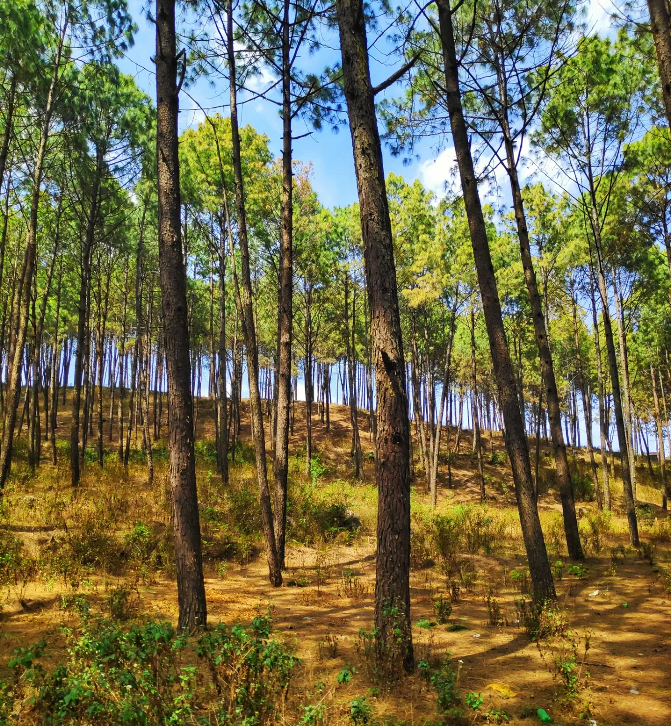 Photo of Bhairav Village Farm By Gautam Prateek Singh