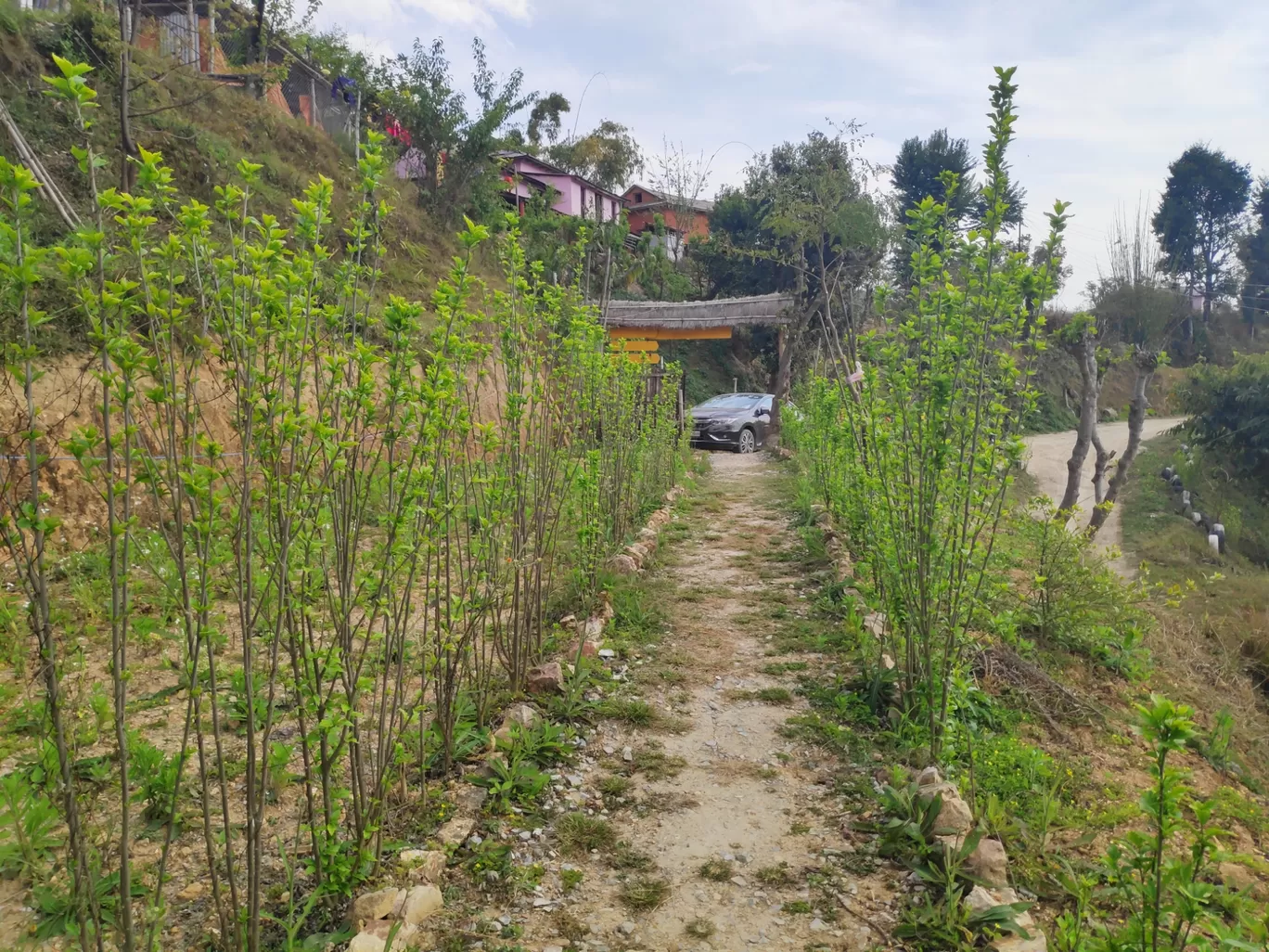 Photo of Bhairav Village Farm By Gautam Prateek Singh