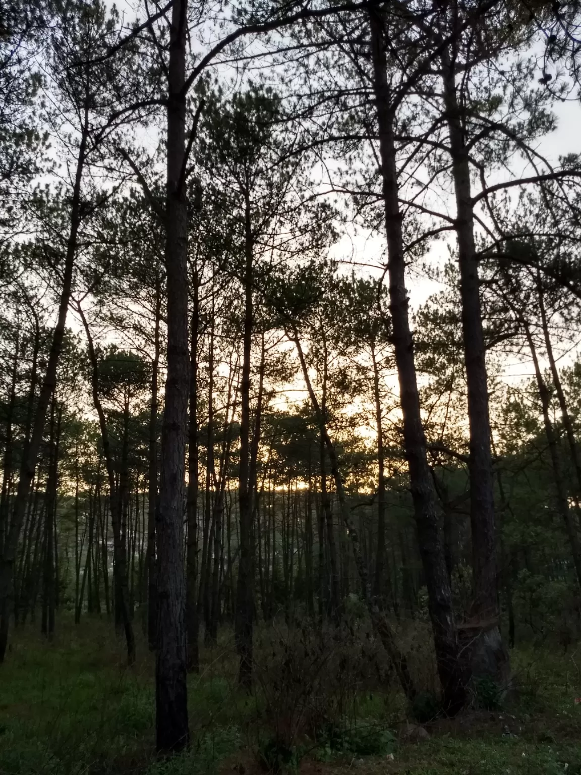 Photo of Nongrah Road By Heather Cecilia Phanwar