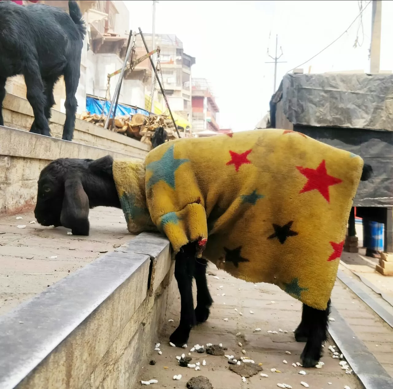 Photo of Varanasi By midhun jagadheesh