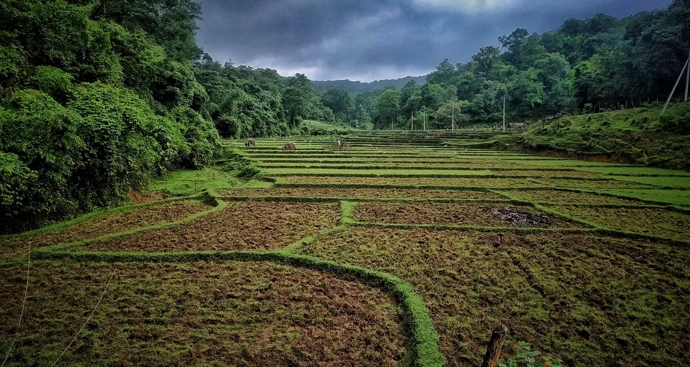Photo of Dandeli By harsh