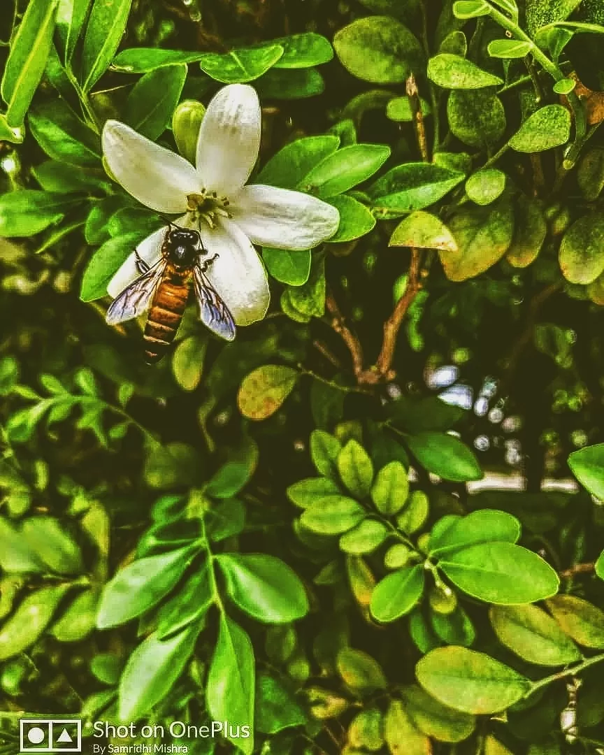 Photo of Rishikesh By Ayush Chauhan