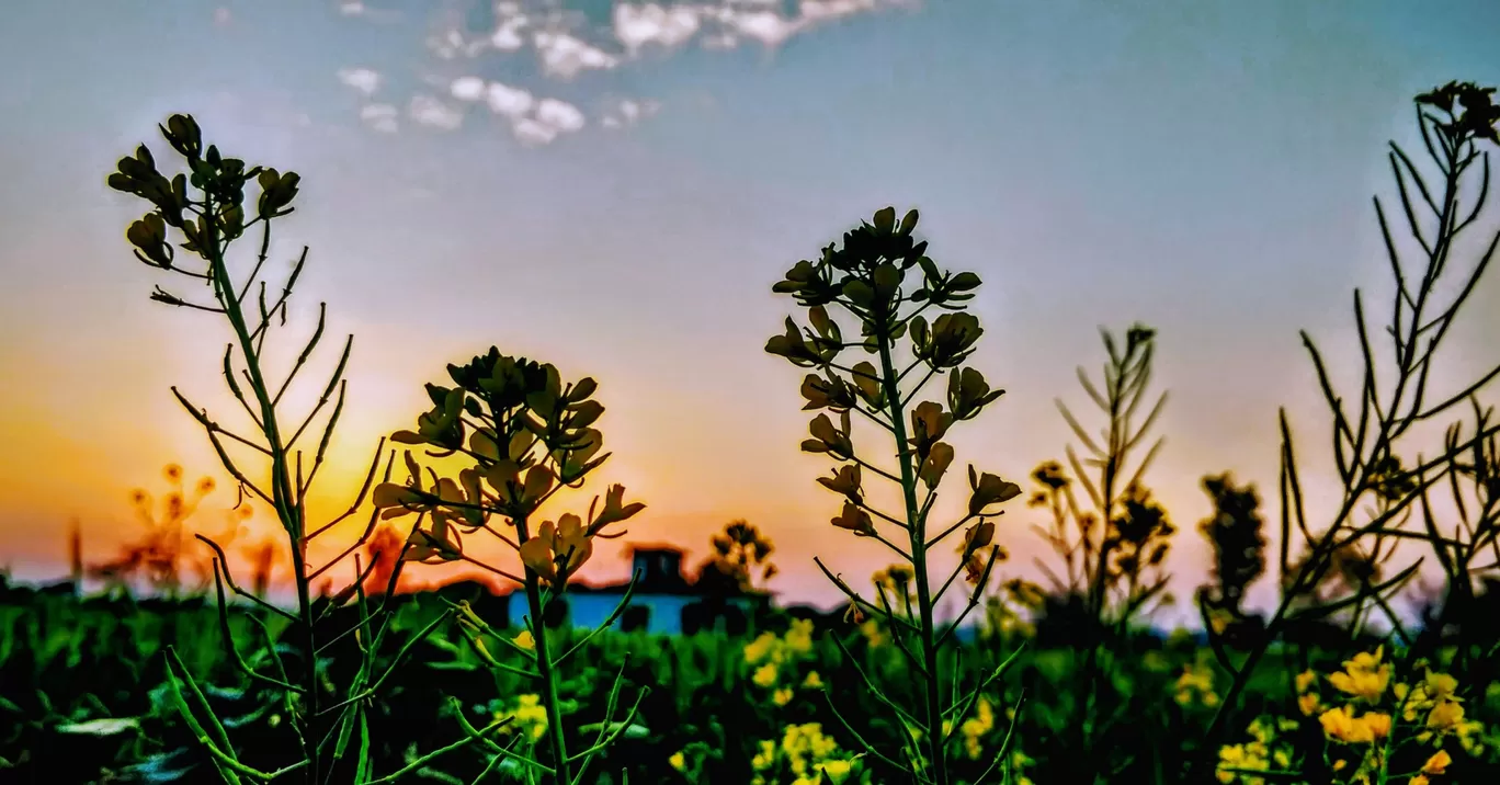 Photo of Rishikesh By Ayush Chauhan