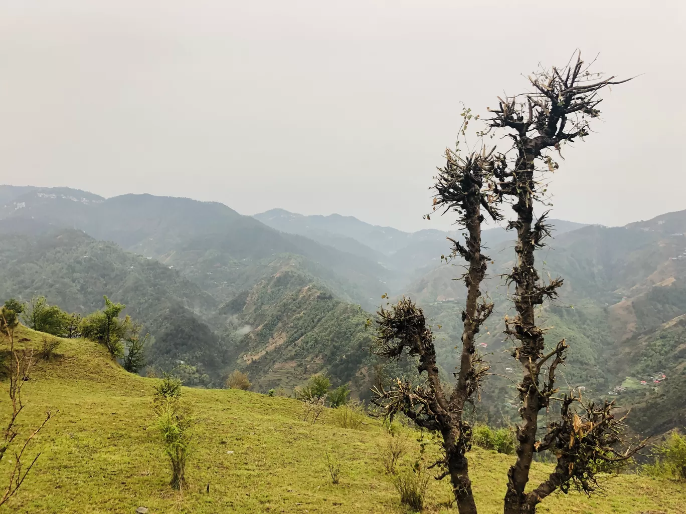 Photo of Dumi By Naveen Issac Immanuel