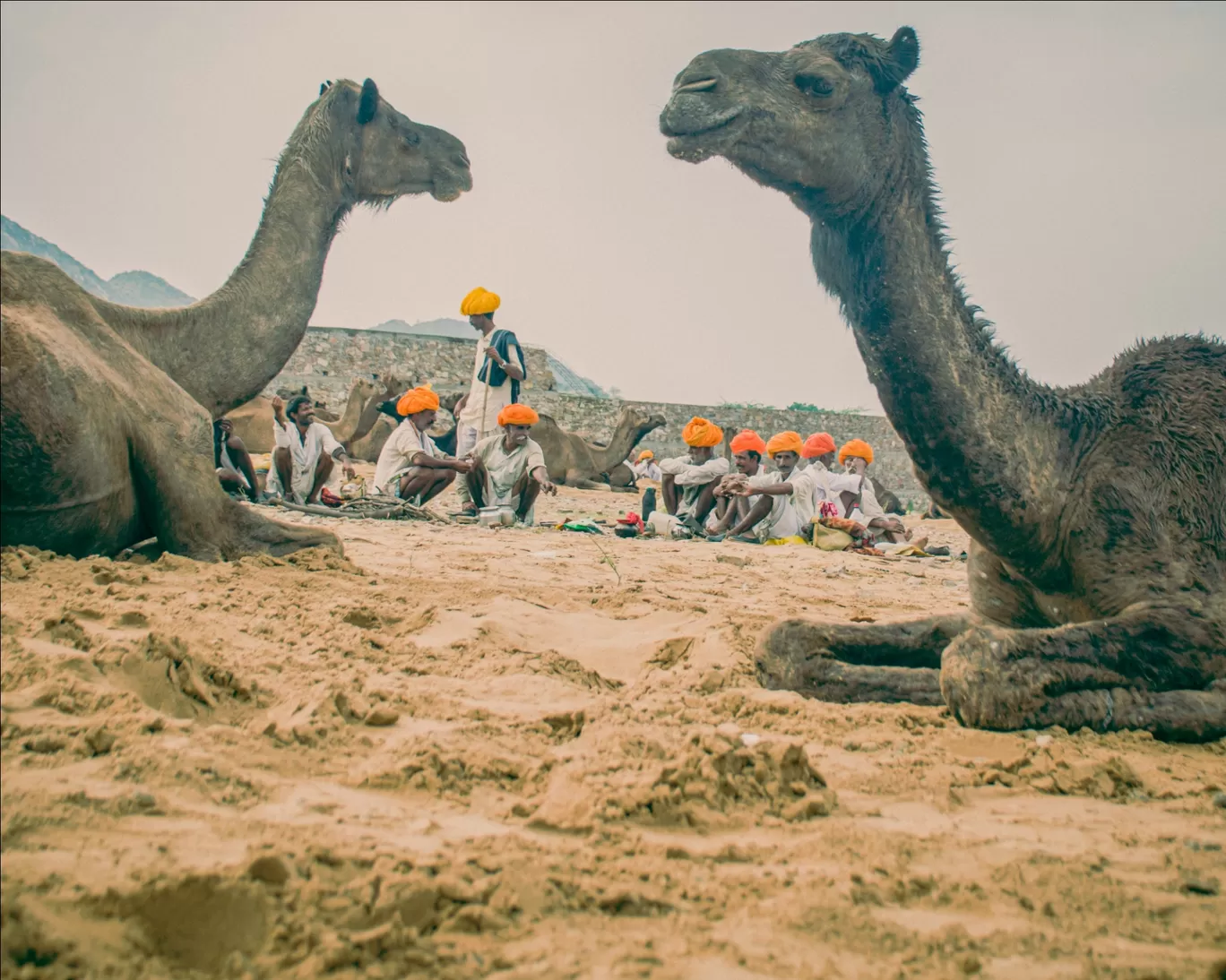 Photo of Pushkar By Shubham 