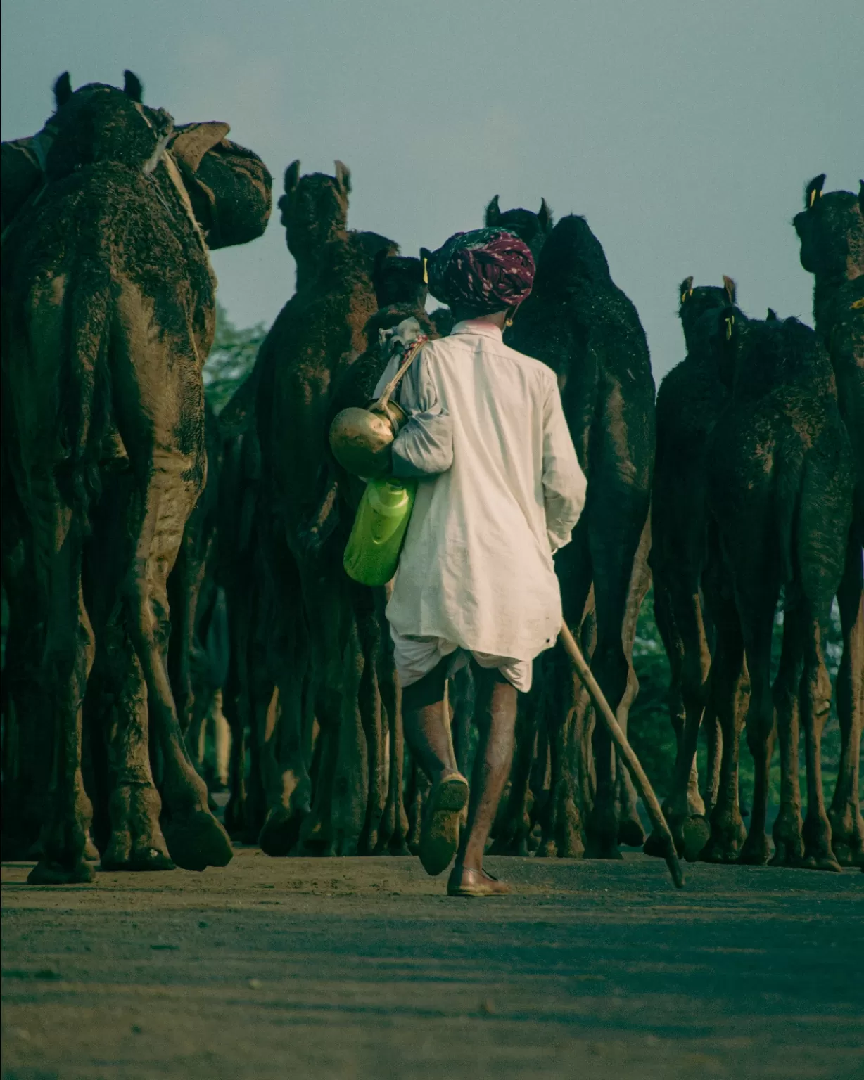 Photo of Pushkar By Shubham 