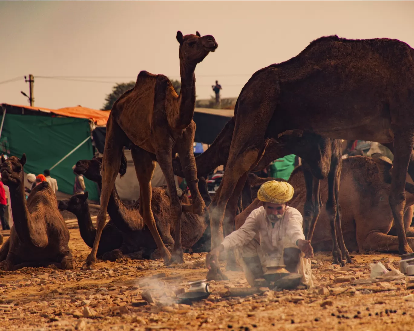 Photo of Pushkar By Shubham 