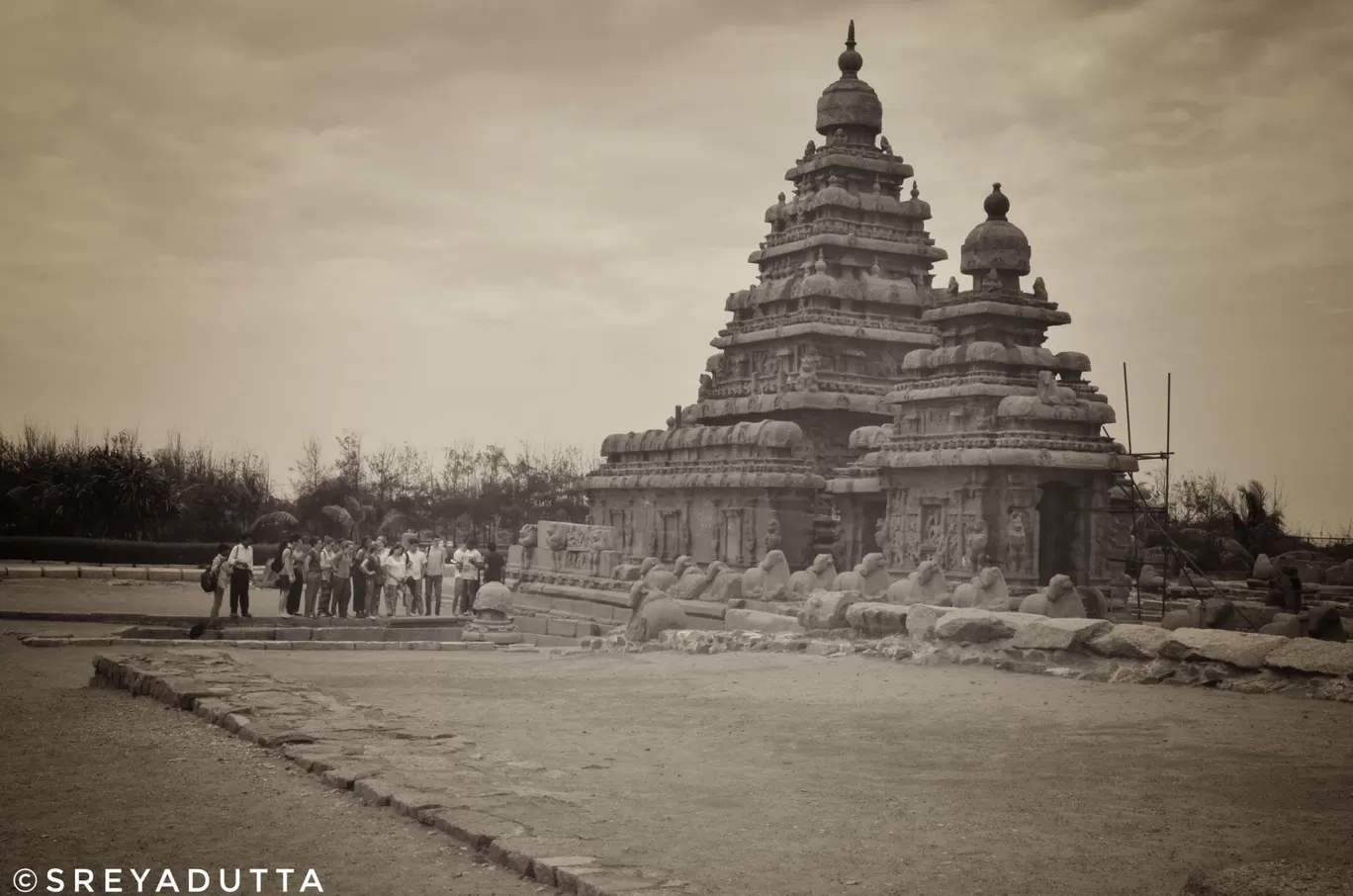 Photo of Mahabalipuram Beach By Sreya Dutta
