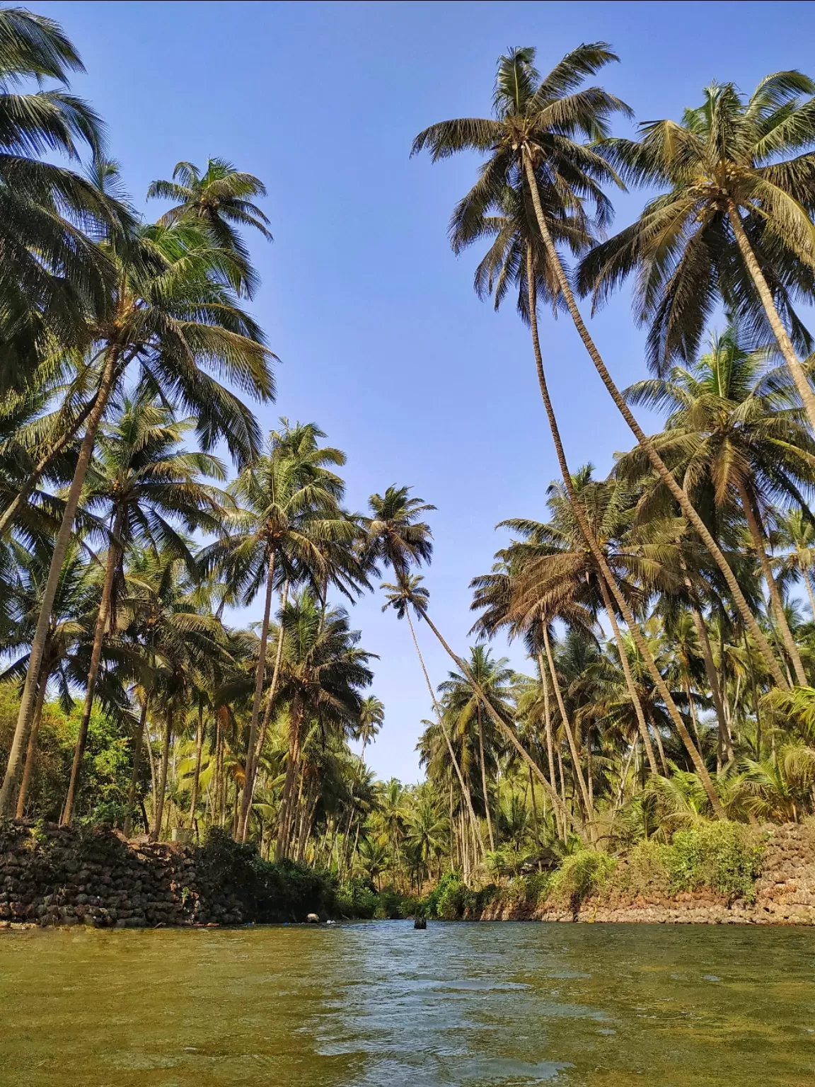 Photo of Goa By Pixalgram