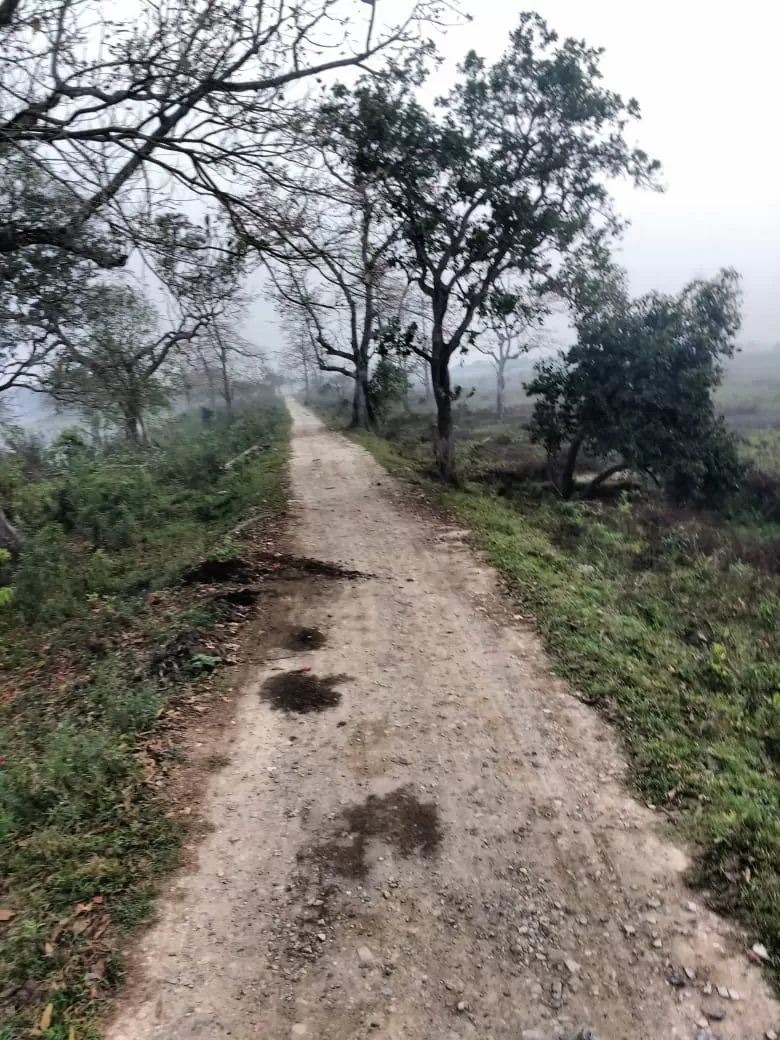 Photo of Kaziranga National Park By Bhaswati Koch
