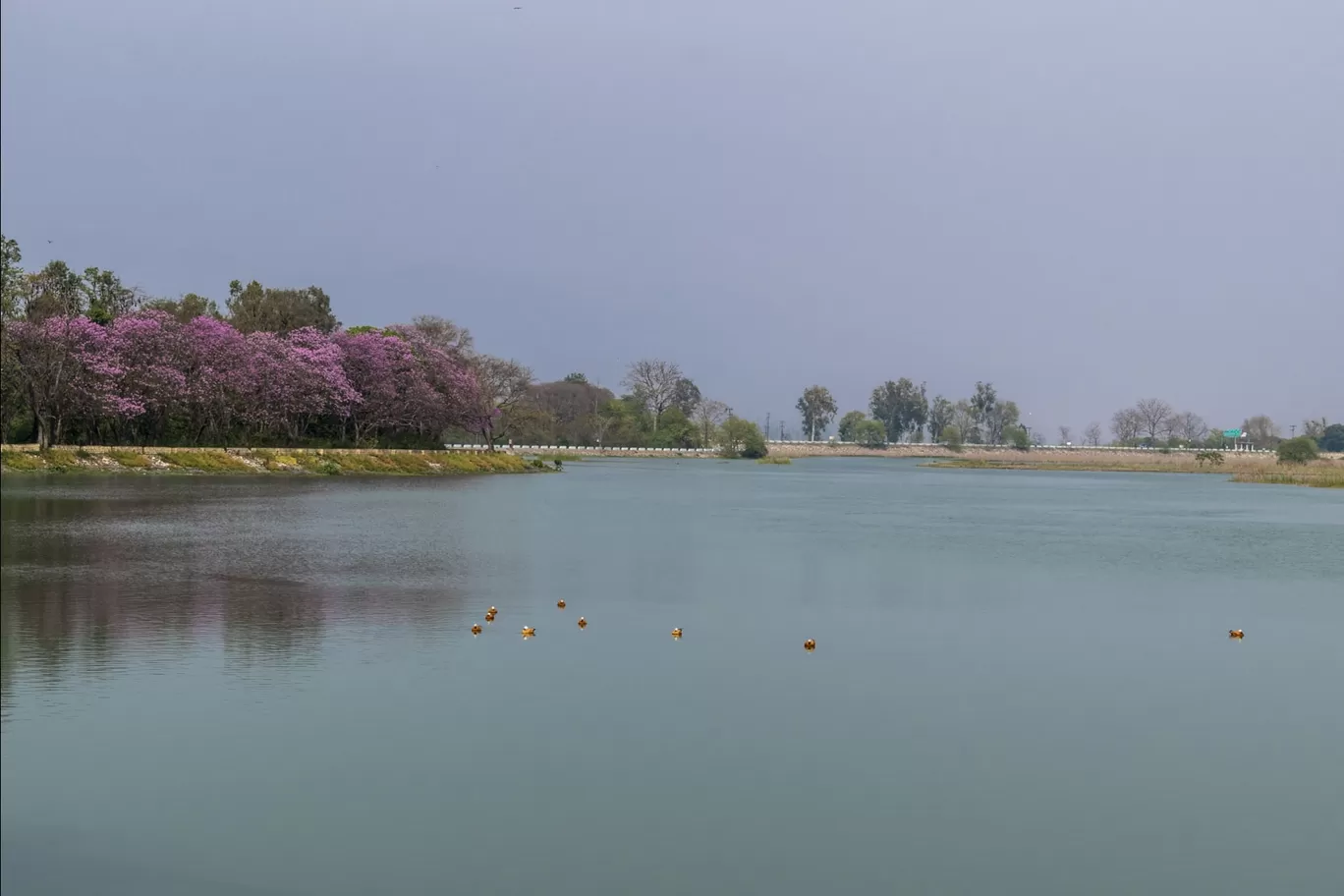 Photo of Paonta Sahib By Gurkirat Singh